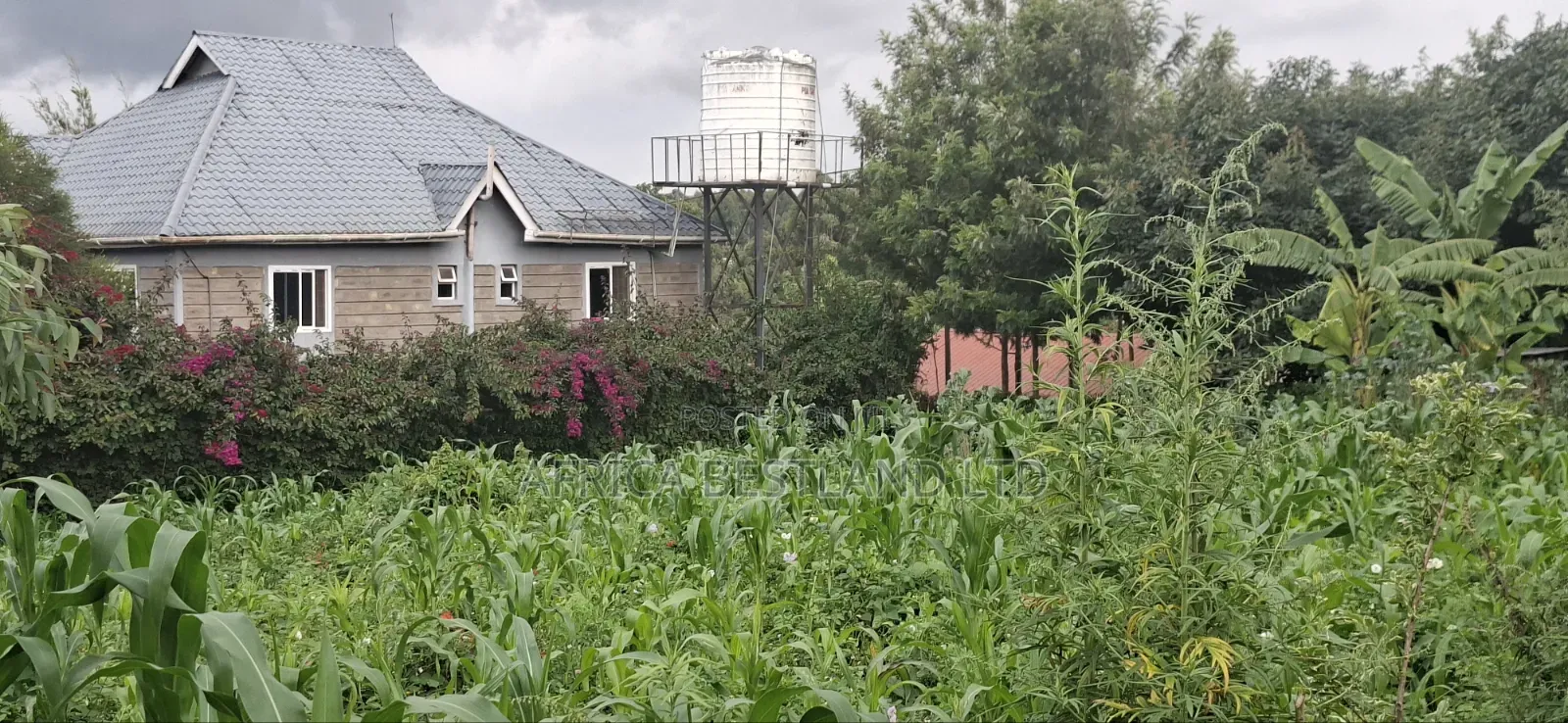 100x100 Plot for Sale – Thigio, Kiambu County