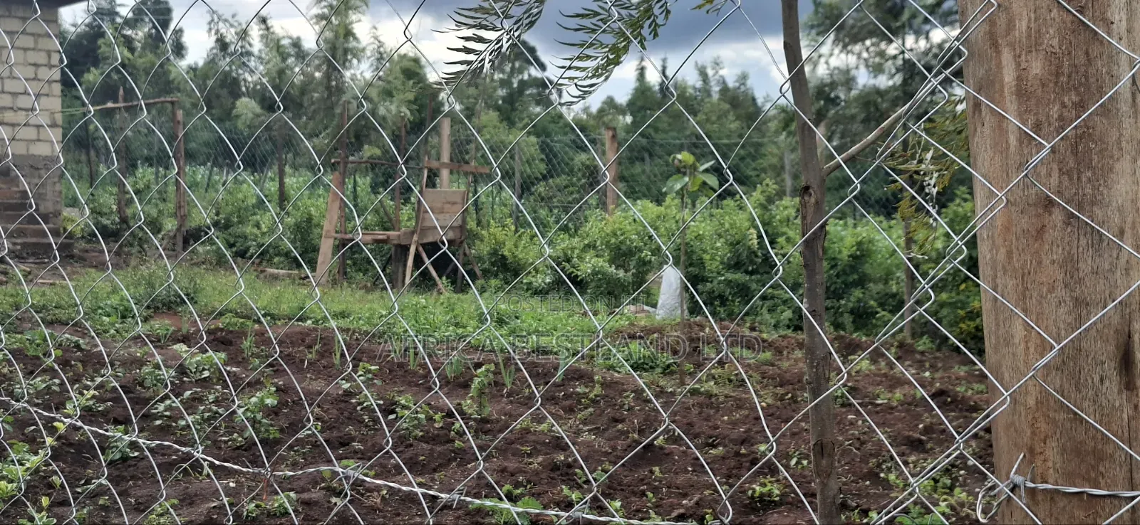 50x100 Residential Plot for Sale – Kikuyu Ng'amba, Kiambu County