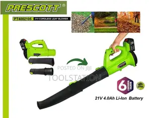 Cordless Leaf Blower 21v With Battery and Charger Pt