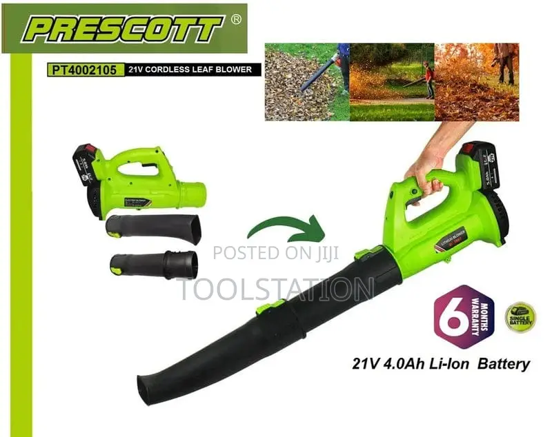 Cordless Leaf Blower 21v With Battery and Charger Pt