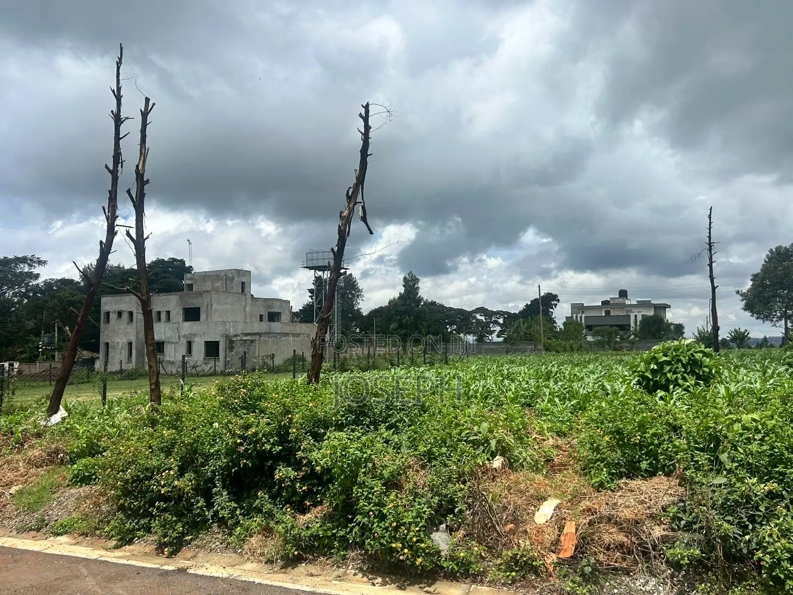 Prime Fully Serviced 1⁄4- Acre Plots for Sale in Limuru Redhill.