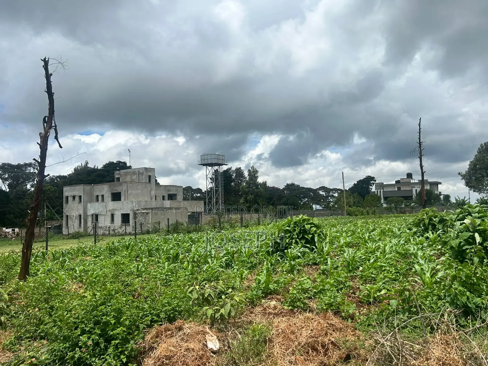 Prime Fully Serviced 1⁄4- Acre Plots for Sale in Limuru Redhill.