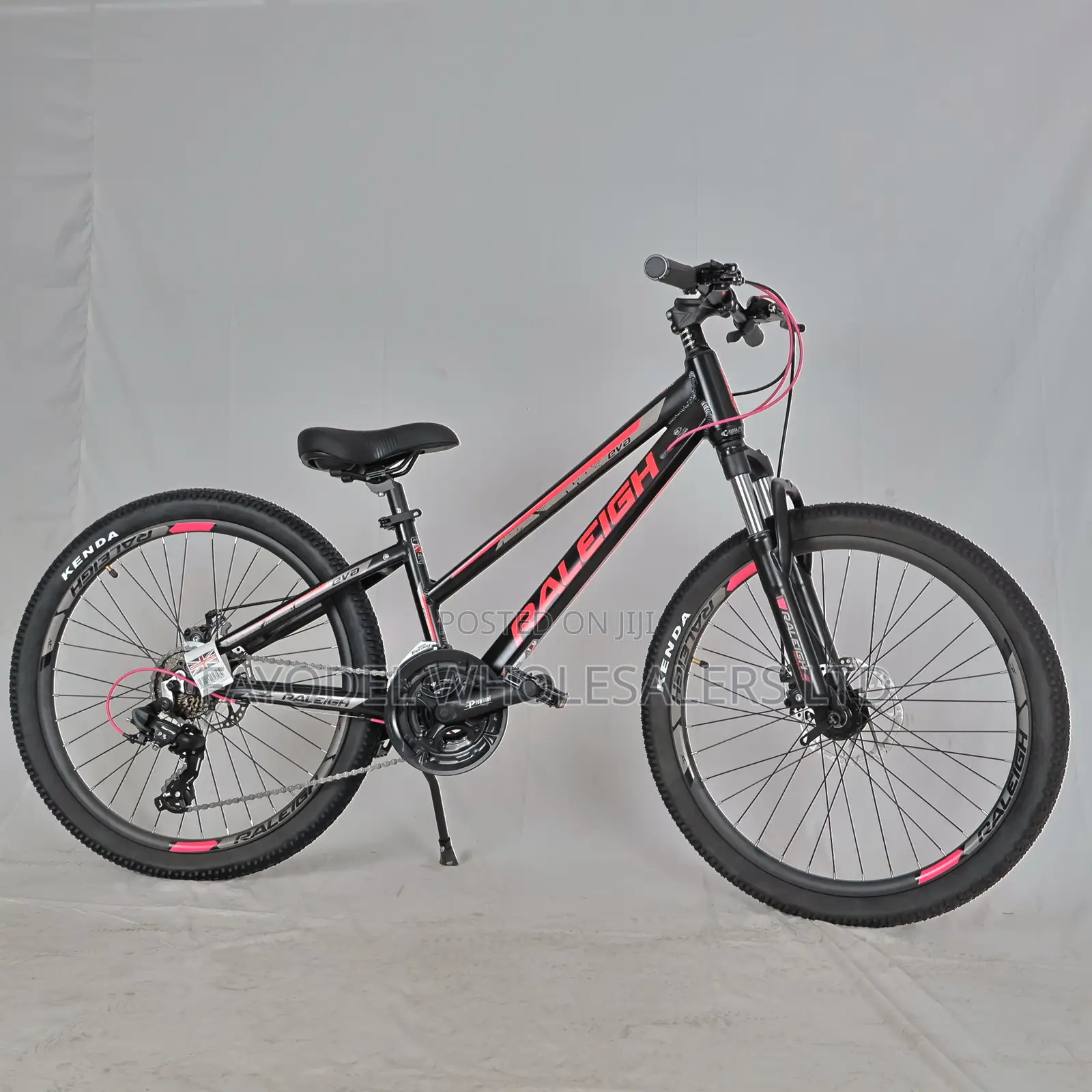 Raleigh Mountain Bicycle – Strong Suspension Gear System