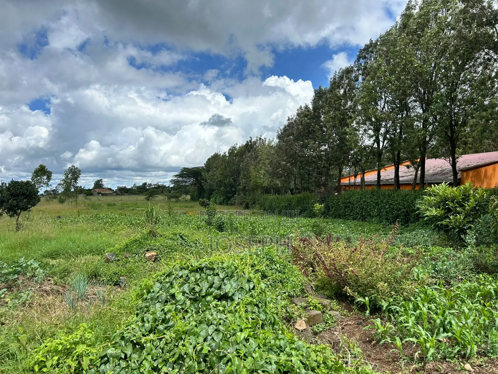 Kiserian Attractive 1/2acres Plot for Sale Near Hekima School