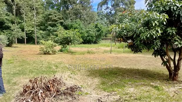 1⁄2 Acre in Karen Miotini - thumbnail 2