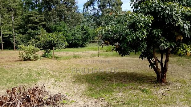 1⁄2 Acre in Karen Miotini - thumbnail 3