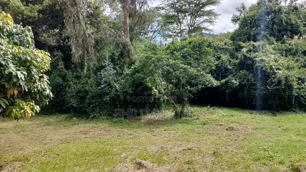1⁄2 Acre in Karen Miotini - thumbnail 4