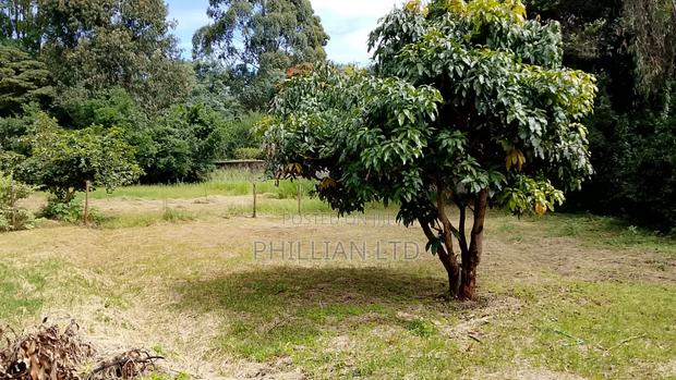 1⁄2 Acre in Karen Miotini - thumbnail 6