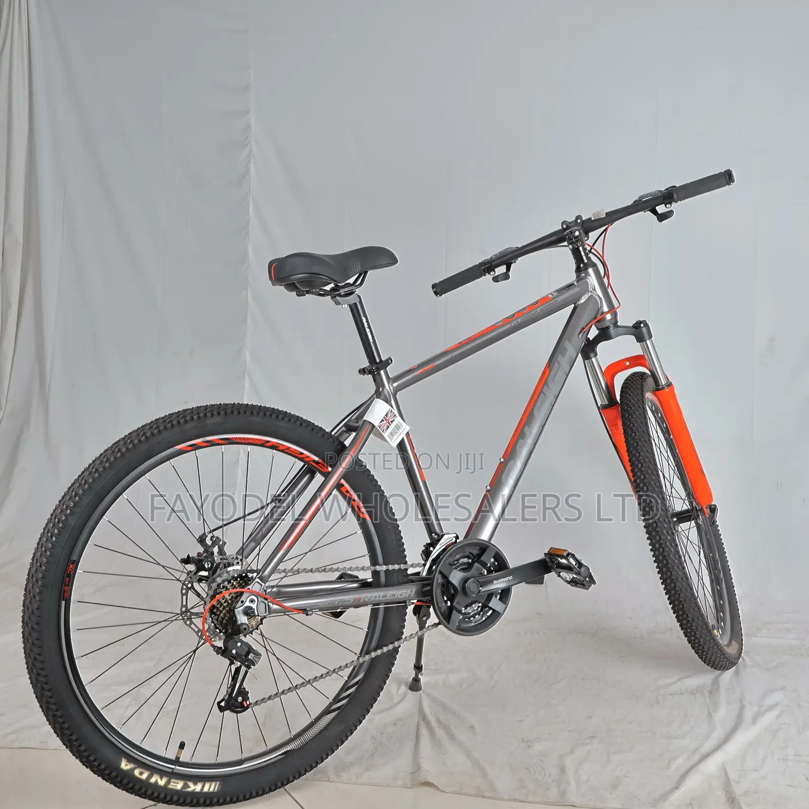 Raleigh Mountain Bicycle – Strong Suspension Gear System