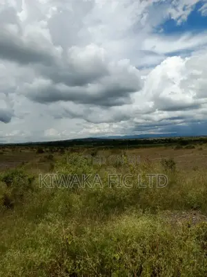Six Acres for Sale in Mwalimu Farm