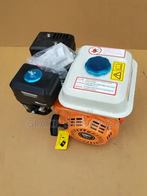 Industrial Petrol Engine