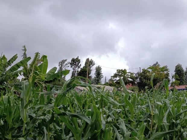 60by 130 Plot on Sale in Mogera Makuyu