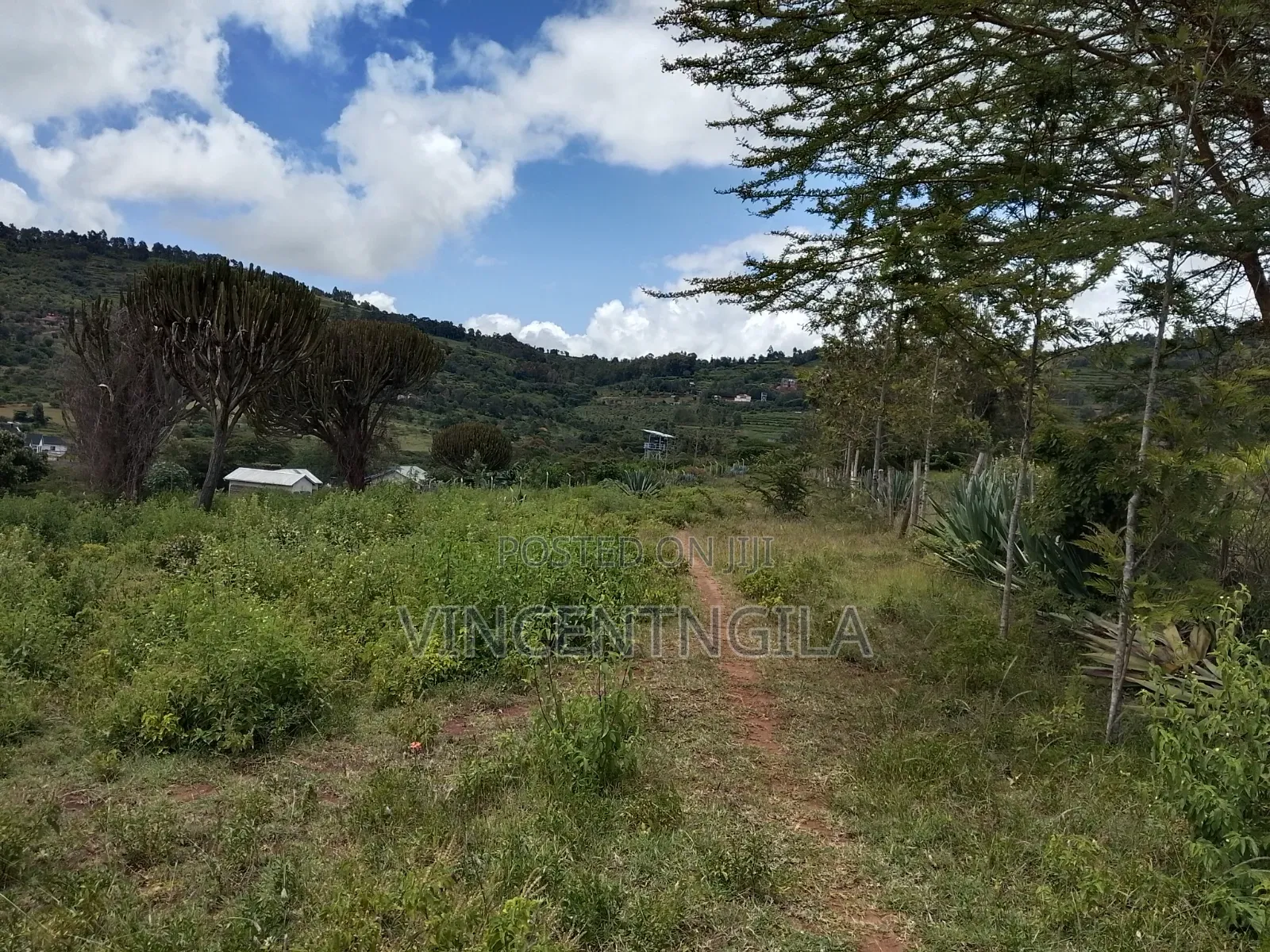 Mua Hills Prime 5 Acres