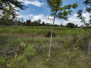 Mua Hills Prime 5 Acres