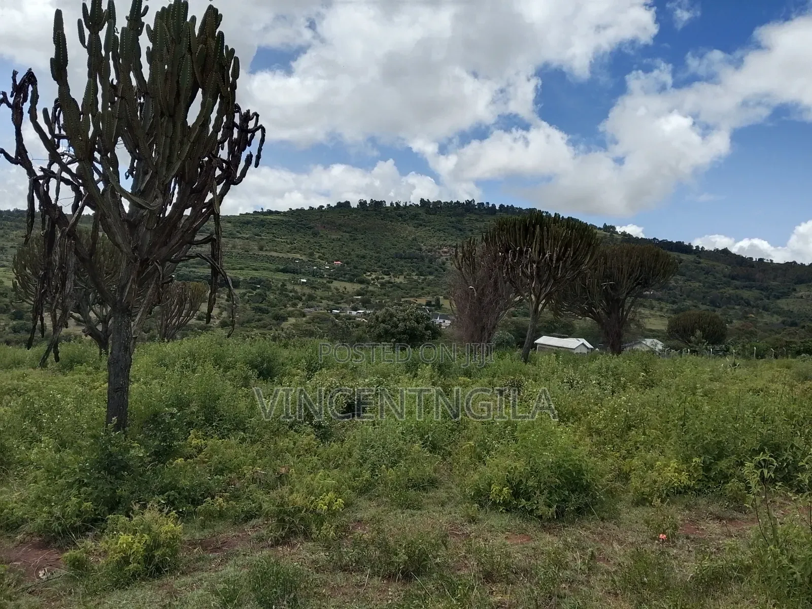 Mua Hills Prime 5 Acres