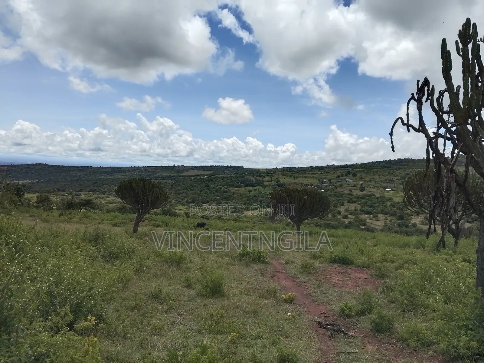 Mua Hills Prime 5 Acres