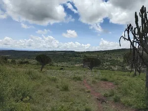 Mua Hills Prime 5 Acres