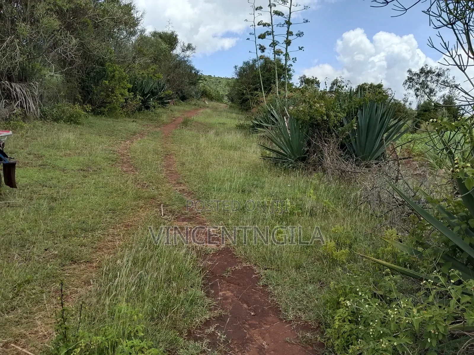 Mua Hills Prime 5 Acres
