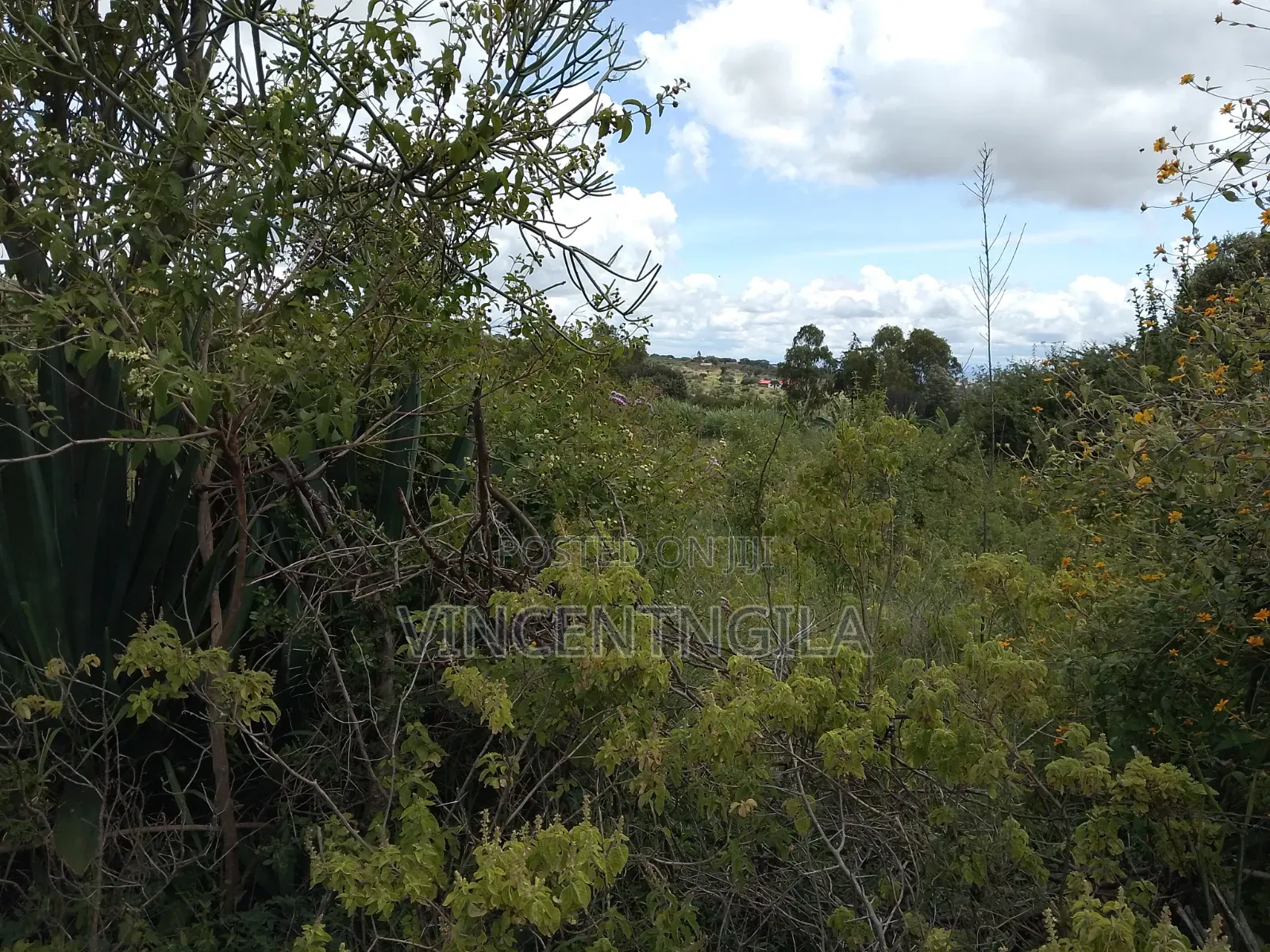 Mua Hills Prime 5 Acres
