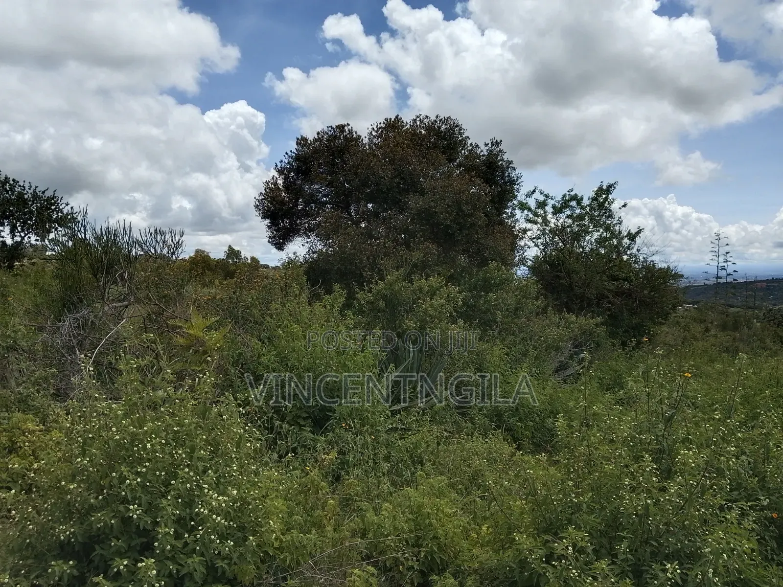 Mua Hills Prime 5 Acres