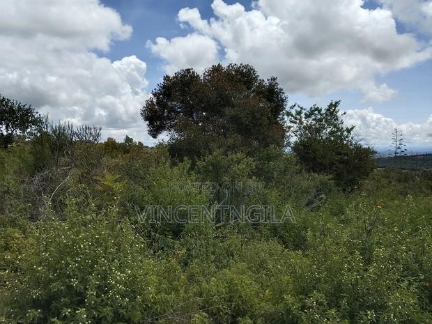 Mua Hills Prime 5 Acres - thumbnail 7