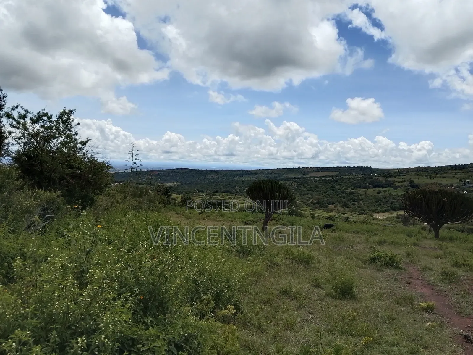 Mua Hills Prime 5 Acres