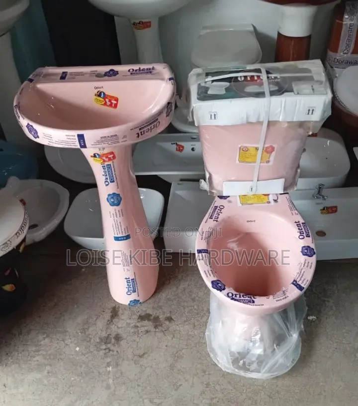 Pink Orient Toilet Available