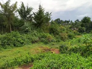 Land in Vipingo Mavueni Kilifi