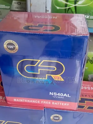 Battery Ns60