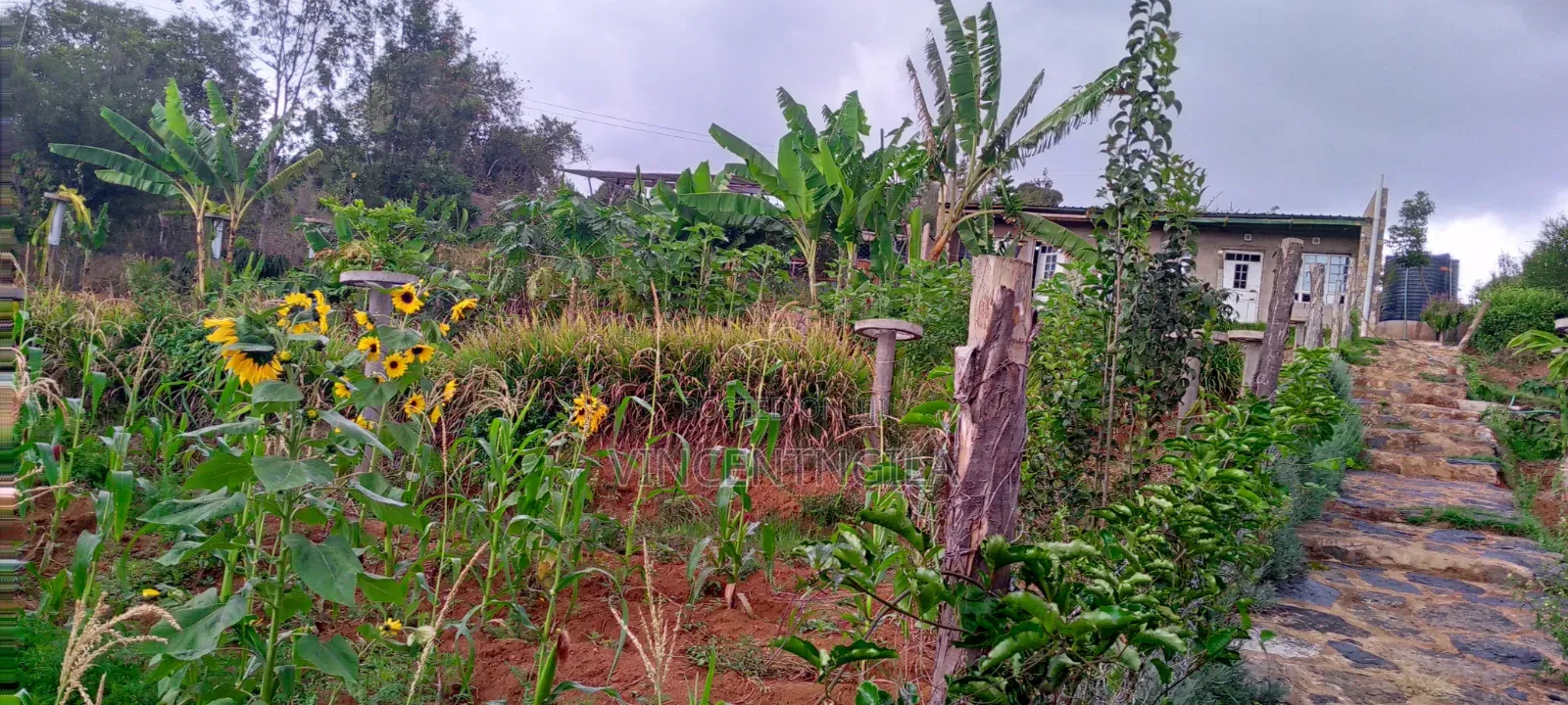 Mua Hills 5 Acres With Spectacular Views