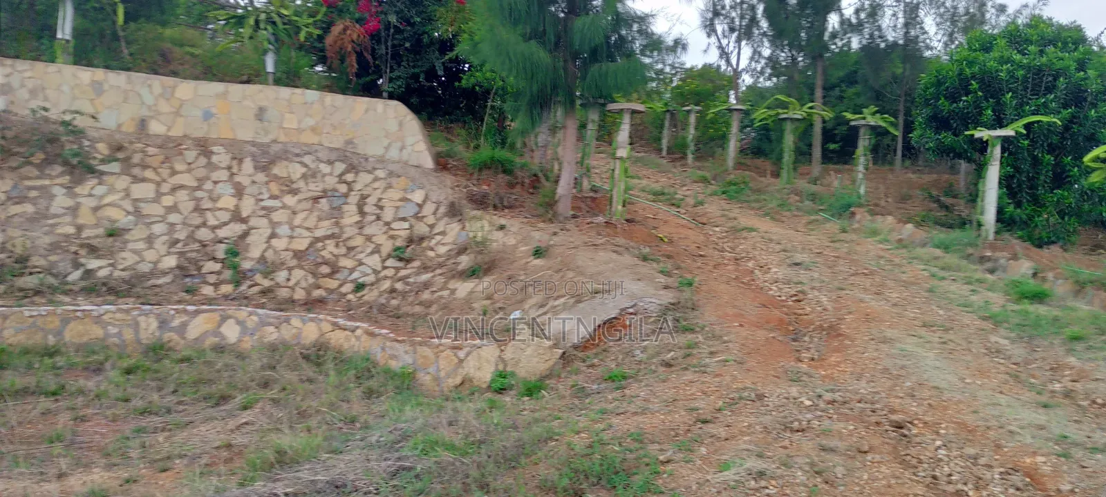 Mua Hills 5 Acres With Spectacular Views