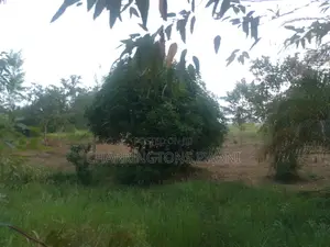 6.4 Acres Agricultural Land| Sugarcane Zone| Seasonal River| Ramisi