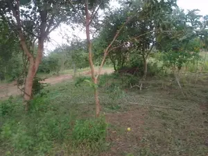 6.4 Acres Agricultural Land| Sugarcane Zone| Seasonal River| Ramisi