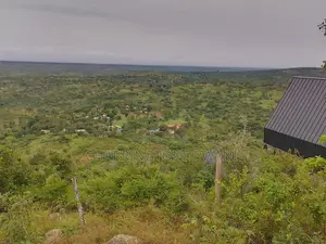 1.25 Acre Hillside Plot | Panoramic Views | Cooler Climate | Golini