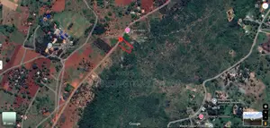 1.25 Acre Hillside Plot | Panoramic Views | Cooler Climate | Golini