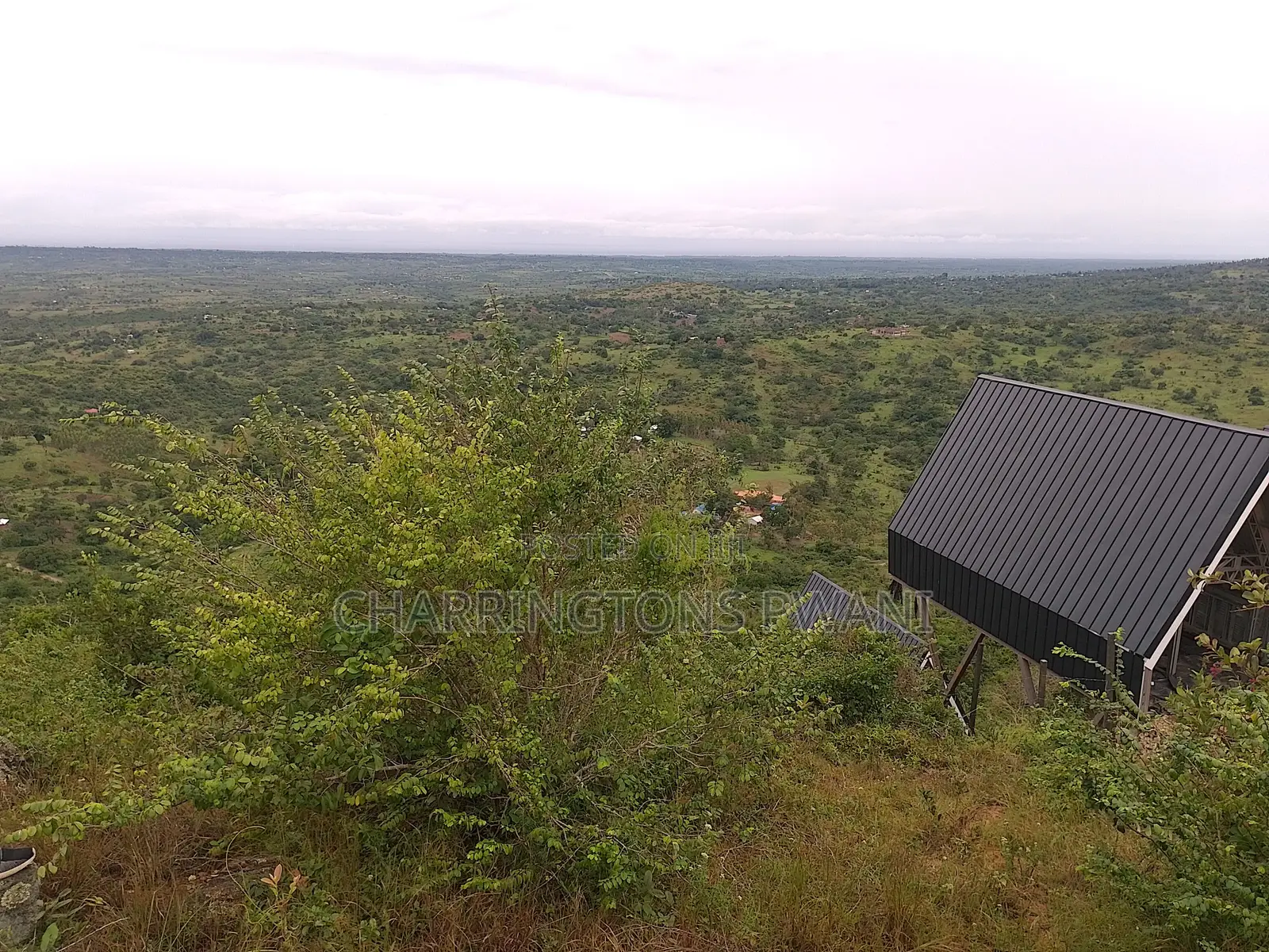 1.25 Acre Hillside Plot | Panoramic Views | Cooler Climate | Golini