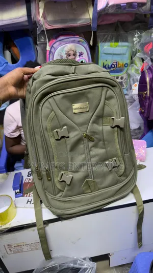 Backpacks Perfect For High-schoolers/Junior _/Senior Secondary