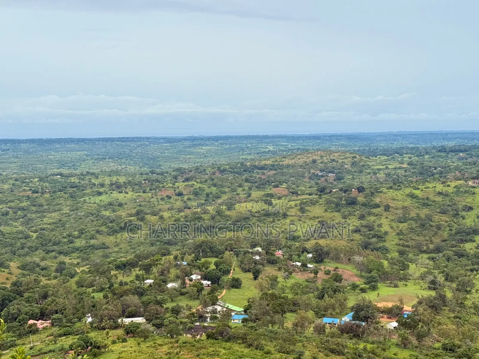 1.25 Acre Hillside Plot | Panoramic Views | Cooler Climate | Golini