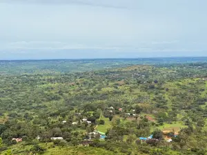 1.25 Acre Hillside Plot | Panoramic Views | Cooler Climate | Golini