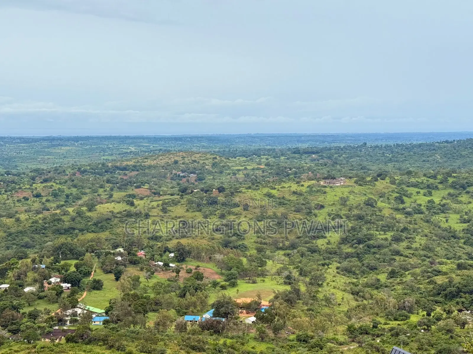 1.25 Acre Hillside Plot | Panoramic Views | Cooler Climate | Golini