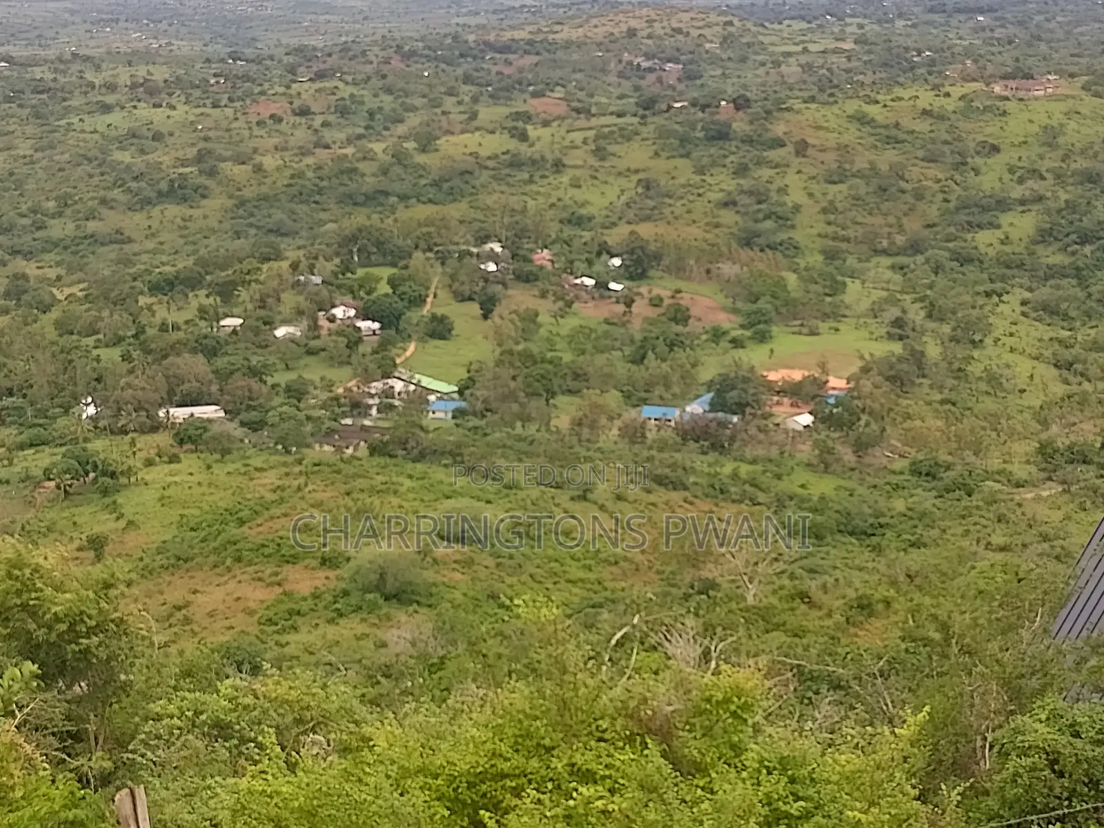 1.25 Acre Hillside Plot | Panoramic Views | Cooler Climate | Golini