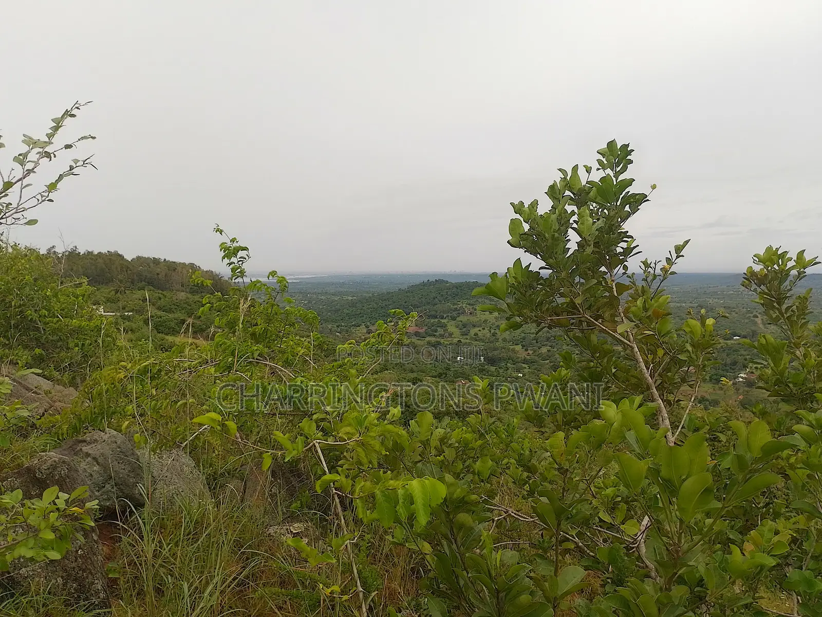 1.25 Acre Hillside Plot | Panoramic Views | Cooler Climate | Golini