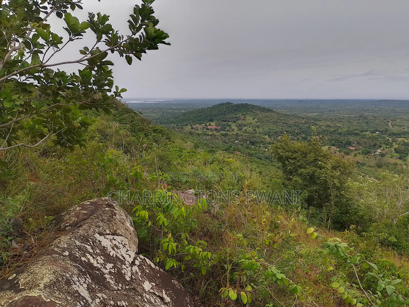 1.25 Acre Hillside Plot | Panoramic Views | Cooler Climate | Golini