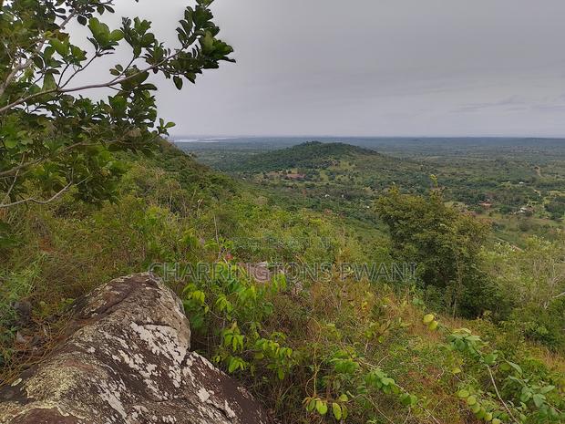 1.25 Acre Hillside Plot | Panoramic Views | Cooler Climate | Golini - thumbnail 9