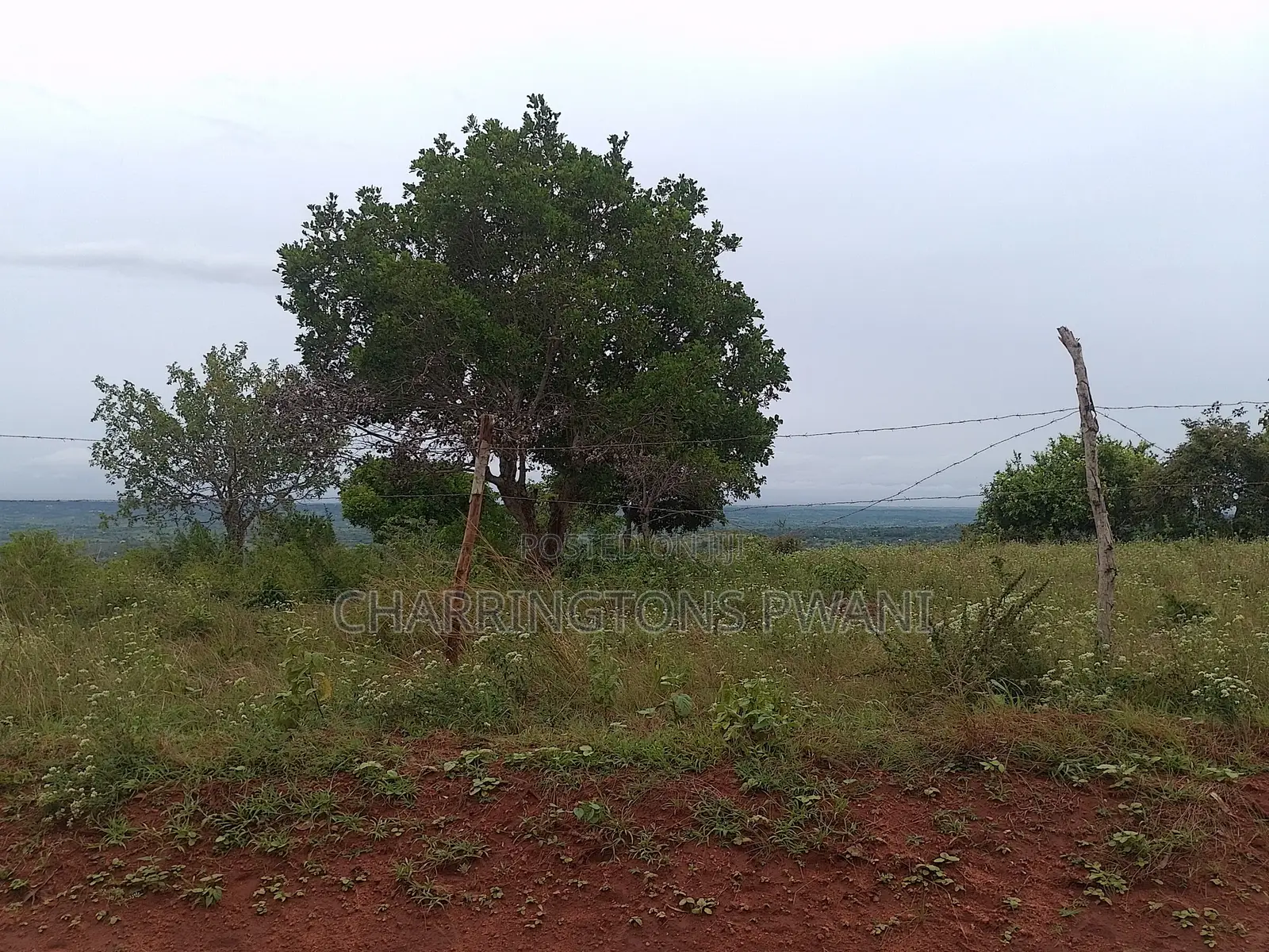 1.25 Acre Hillside Plot | Panoramic Views | Cooler Climate | Golini