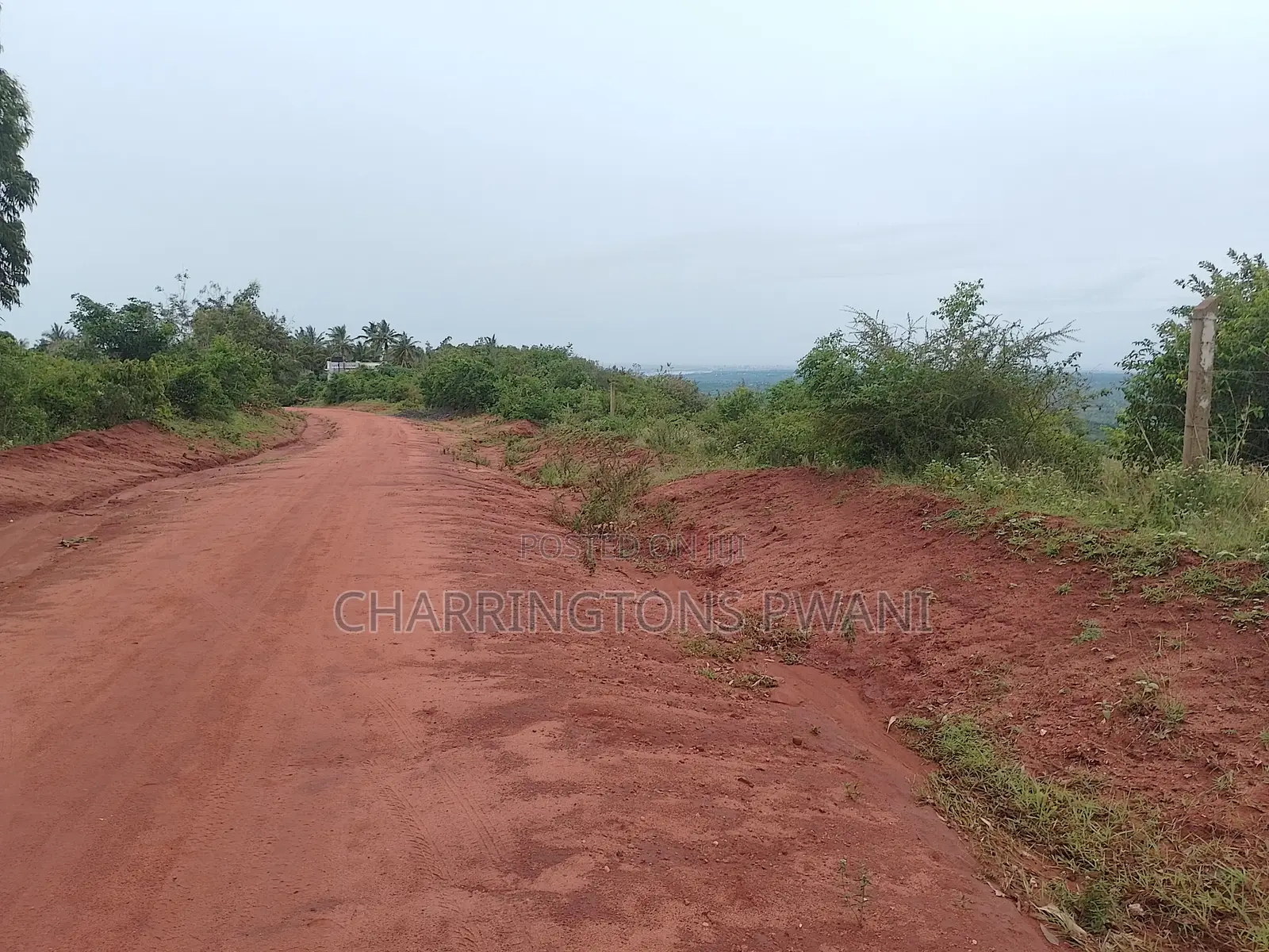 1.25 Acre Hillside Plot | Panoramic Views | Cooler Climate | Golini