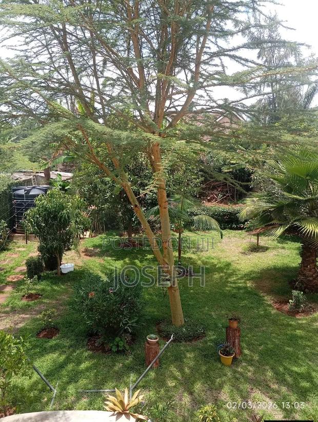 Land on Sale at Karen Rhino Park