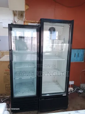 Display Medium Chiller Fridge