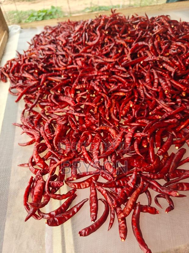 Dried Cayenne Pepper - thumbnail 2