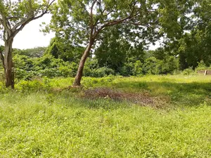 1⁄2 Acre Plot | 2nd Row Diani | Municipal Water | Behind Tandoori